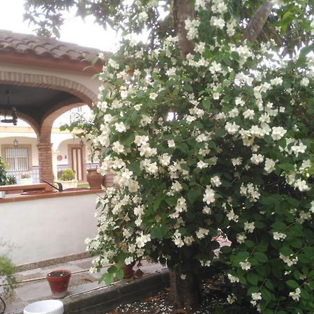 הוילה באיסה Vivienda Turistica Rural Mari Carmen מראה חיצוני תמונה